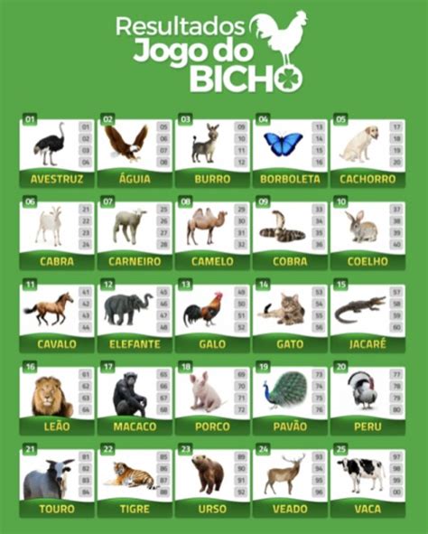 número do coelho no bicho